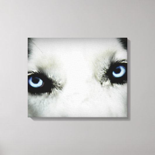 Siberian Husky Eyes Canvas Afdruk (Voorkant)