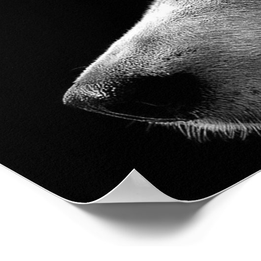 Siberian Husky Face Poster (Hoek)