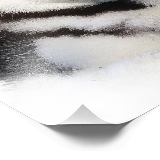 Siberian Husky Foto Afdruk (Hoek)