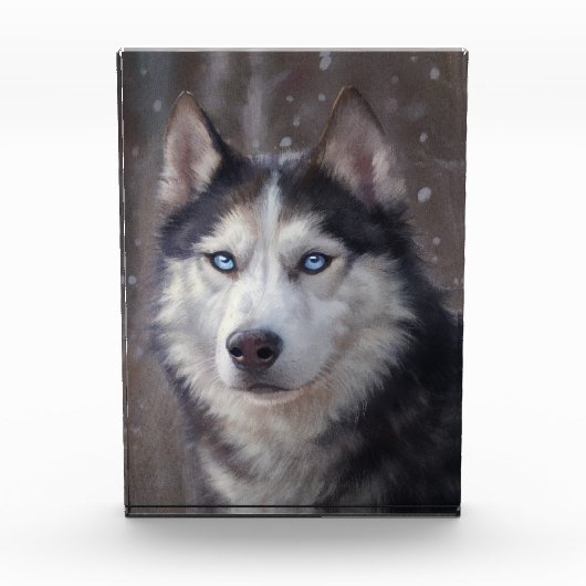Siberian Husky Fotoblokken (Voorkant)