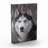 Siberian Husky Fotoblokken (Links)