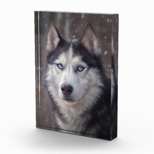 Siberian Husky Fotoblokken (Rechts)