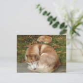 Siberian Husky & German Klein Spitz Pommeren Briefkaart (Staand voorkant)
