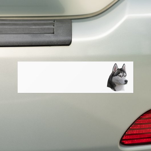 Siberian Husky - Gestormd Afbeelding - Voeg Jouw t Bumpersticker (Op auto)