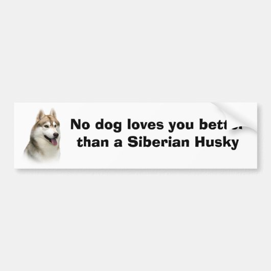 Siberian Husky Gorheerlijke Bumpersticker (Voorkant)