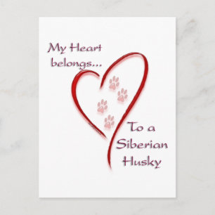 Siberian Husky Heart behoort tot Briefkaart