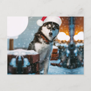 Siberian Husky hond met kersthoed Briefkaart