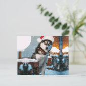 Siberian Husky hond met kersthoed Briefkaart (Staand voorkant)