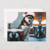 Siberian Husky hond met kersthoed Briefkaart (Voorkant / Achterkant)