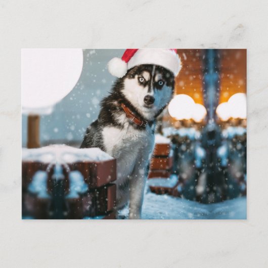 Siberian Husky hond met kersthoed Briefkaart (Voorkant)
