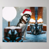 Siberian Husky hond met kersthoed Poster (Voorkant)