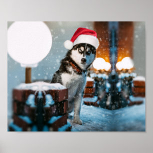 Siberian Husky hond met kersthoed Poster