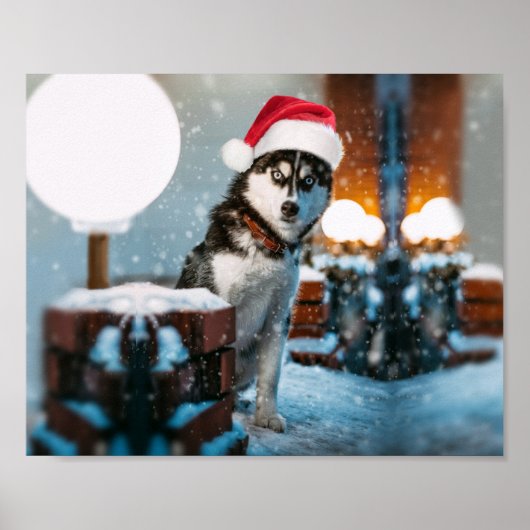 Siberian Husky hond met kersthoed Poster (Voorkant)