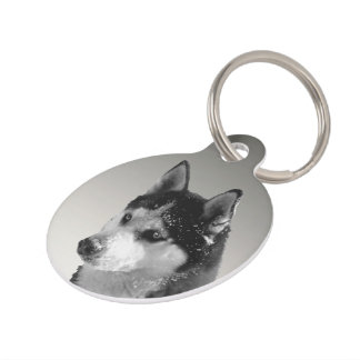 Siberian Husky Huskybild Haustiermarke Huisdierpenning