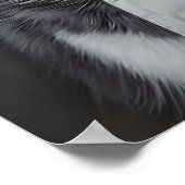 Siberian Husky In Chefs Hat Poster, Pet Poster (Hoek)