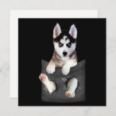 Siberian Husky in Pocket Puppy Feestdagenkaart (Voorkant / Achterkant)
