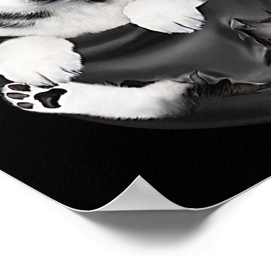 Siberian Husky in Pocket Puppy Poster (Hoek)