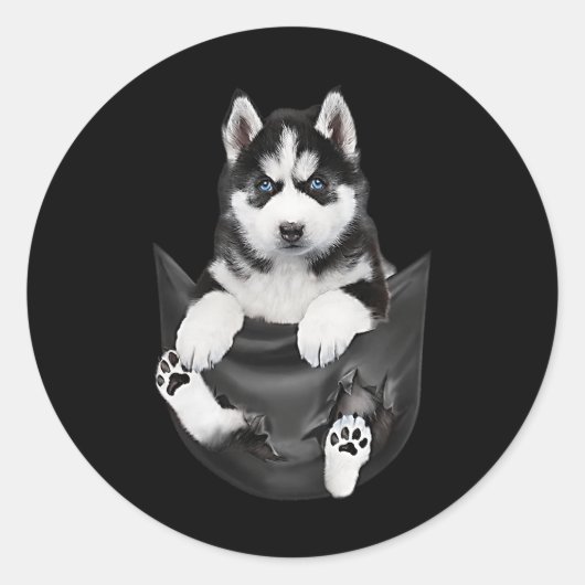 Siberian Husky in Pocket Puppy Ronde Sticker (Voorkant)