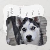 Siberian Husky Kaart (Voorkant / Achterkant)