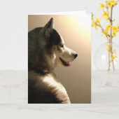 Siberian Husky Kaart/Alaskan Malamute Kaart (Gele Bloem)