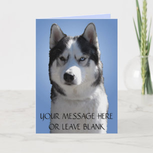 Siberian Husky Kaart/Alaskan Malamute Kaart Blank