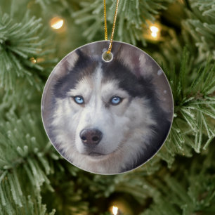 Siberian Husky Keramisch Ornament