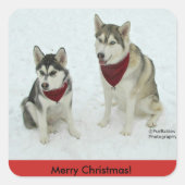 Siberian Husky Kerst stickers (Voorkant)