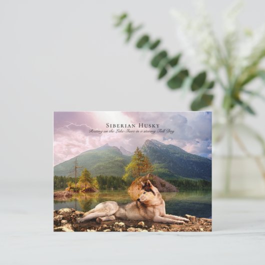 Siberian Husky, Lakeshore, Herfst - Verzamelbaar Briefkaart (Staand voorkant)