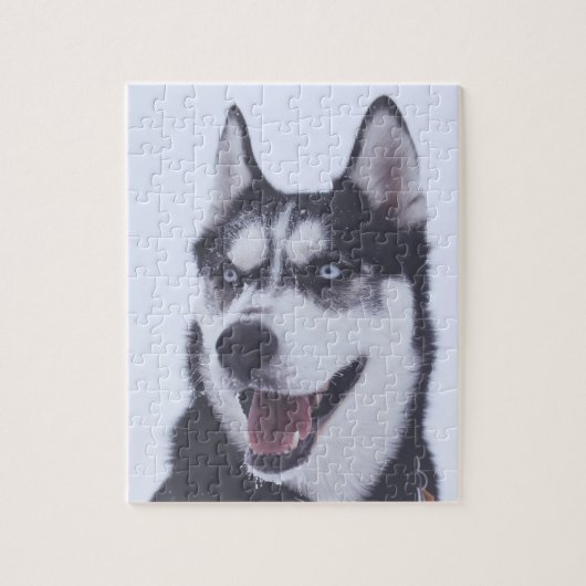 Siberian Husky Legpuzzel (Verticaal)