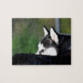 Siberian Husky Legpuzzel (Horizontaal)