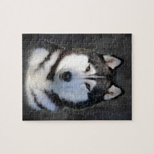 Siberian Husky Legpuzzel (Horizontaal)
