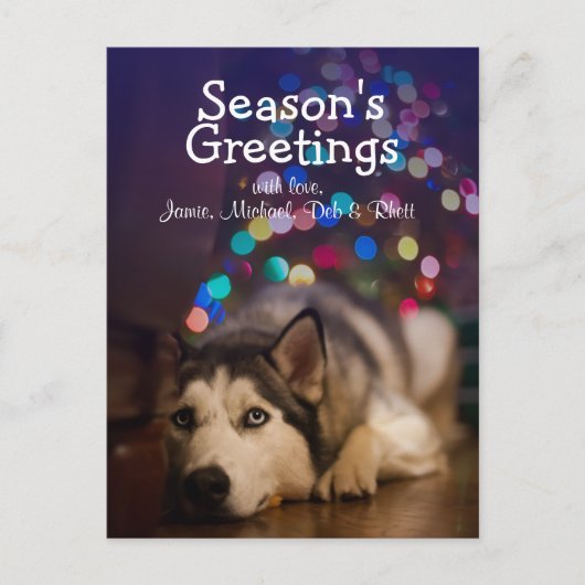 Siberian Husky legt op zijn favoriete speelgoed Briefkaart (Voorkant)