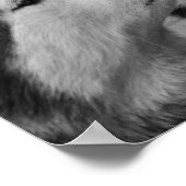 Siberian Husky Love Poster (Hoek)