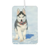 Siberian Husky Luchtverfrisser (Voorkant)