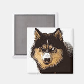 Siberian Husky Magneet (Voorkant / Achterkant)