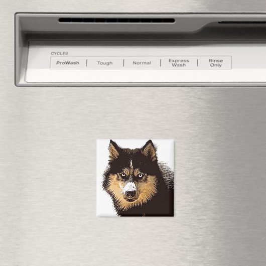 Siberian Husky Magneet (Insitu (Vaatwasser))