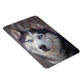 Siberian Husky Magneet (Rechterzijde)