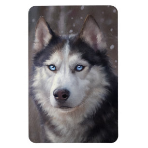 Siberian Husky Magneet
