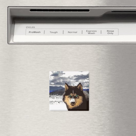 Siberian Husky Magnet (Insitu (Vaatwasser))