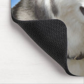 Siberian Husky Mousepad Gifts Malamute Sled Dogs Muismat (Hoek)