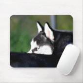Siberian Husky Mousepad Muismat (Met muis)