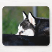 Siberian Husky Mousepad Muismat (Voorkant)