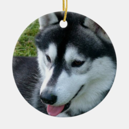 Siberian Husky Ornament (Voorkant)