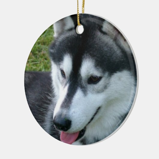 Siberian Husky Ornament (Links)