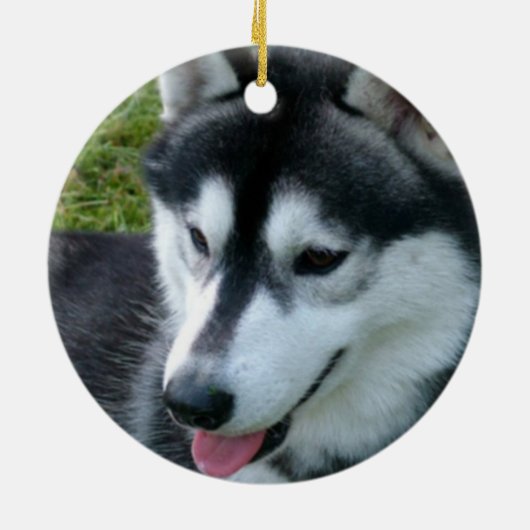 Siberian Husky Ornament (Achterkant)