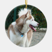 Siberian Husky Ornament (Voorkant)