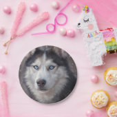 Siberian Husky Papieren Bordje (Feest)