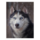 Siberian Husky Perfect Poster (Voorkant)