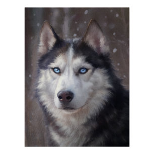 Siberian Husky Perfect Poster