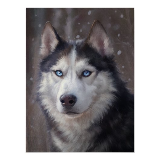 Siberian Husky Perfect Poster (Voorkant)